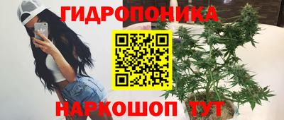 дурь Новокубанск