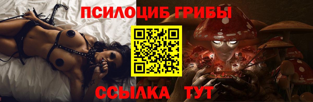 Псилоцибиновые грибы ЛСД  Вход с VPN  продажа наркотиков  Тавда 